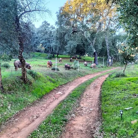 Cortijo Rural El Contador, Con Parque Infantil Holiday home *